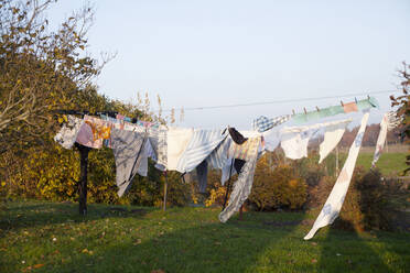 Vom Winde verwehte Kleidung auf einer Wäscheleine bei Bäumen - FOLF12143