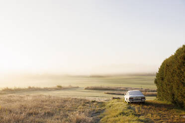Auto im Feld mit Nebel bei Sonnenaufgang - FOLF12163