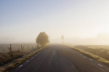 Nebel bei Sonnenaufgang auf einer Landstraße - FOLF12164