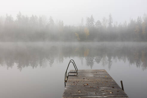 Steg, See und Wald im Nebel - FOLF12169