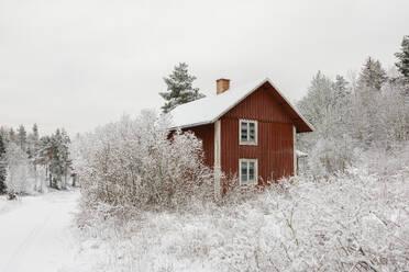 Hütte und Wald im Schnee - FOLF12179