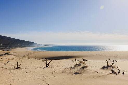 Äste und Sanddünen am Strand von Tarifa, Spanien - FOLF12185