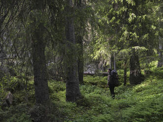 Frau wandert auf einem Pfad durch den Wald - FOLF12202