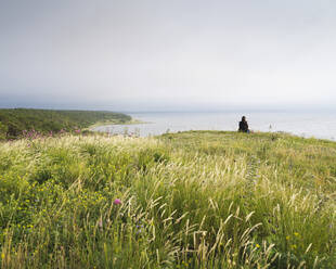 Young woman sitting in grass by sea - FOLF12209