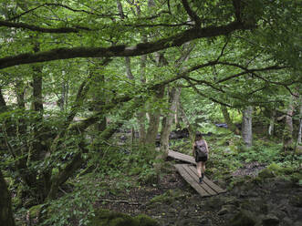 Frau wandert auf einem Pfad durch den Wald - FOLF12213