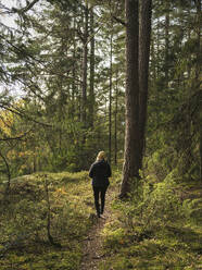 Frau wandert auf einem Pfad durch den Wald - FOLF12219