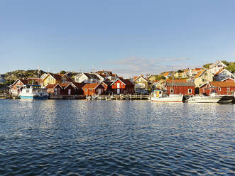 Marina and houses in town - FOLF12247
