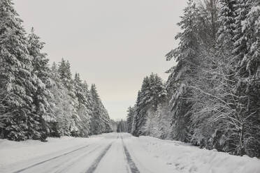 Reifenspuren im Schnee auf einer Straße durch den Wald - FOLF12287