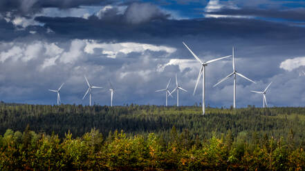 Windpark und Wald unter Wolken - FOLF12322