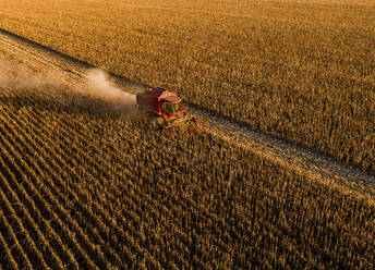 Combine harvester working in corn farm - NOF00777