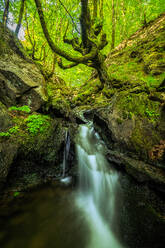 Malerischer Blick auf einen Wasserfall, der durch moosbewachsene Felsen fließt, umgeben von Bäumen im Wald - ADSF44195