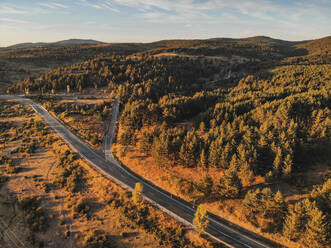 Luftaufnahme einer asphaltierten Straße, die durch Nadelwälder und Hügel führt, an einem Herbsttag - ADSF44218