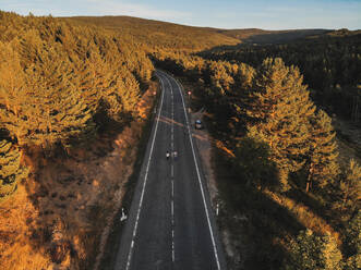 Luftaufnahme von Asphaltstraße durch Herbst Wald mit Nadelbäumen in Sonnenuntergang Zeit in der Natur gehen - ADSF44219