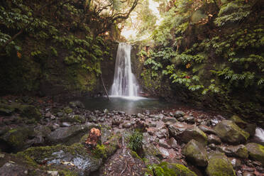 Malerischer Blick auf einen mächtigen Wasserfall, der durch eine Klippe mit wachsenden Pflanzen in einem grünen tropischen Wald in der Nähe von Felsen auf den Azoren fließt - ADSF44232