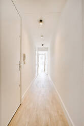 Innenarchitektur des leeren Flurs mit weißen Wänden und Holzboden gegen Tür und Lampe in einem modernen Wohnhaus - ADSF44240
