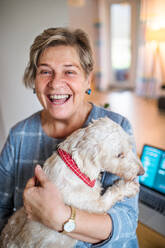 Fröhliche ältere Frau mit Hund und Laptop bei der Arbeit im Heimbüro. - HPIF15538