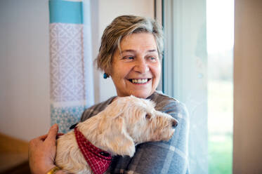 Fröhliche ältere Frau mit Hund zu Hause, beim Entspannen. - HPIF15539