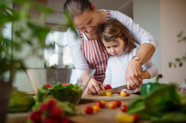 Small girl with senior grandmother in kitchen indoors at home, cutting tomatoes for salad. - HPIF15544