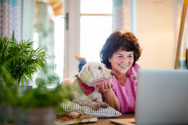 Ältere Frau mit Hund und Laptop auf dem Boden zu Hause, beim Entspannen. - HPIF15554