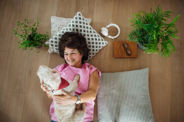 Draufsicht auf eine glückliche ältere Frau mit Hund, die zu Hause auf dem Boden liegt und sich entspannt. - HPIF15555