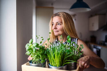 Portrait of happy woman indoors at home, carrying box with herbs. - HPIF15569