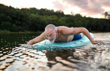 Aktiver älterer Mann auf Paddleboard auf einem See im Sommer, schwimmend. - HPIF15802