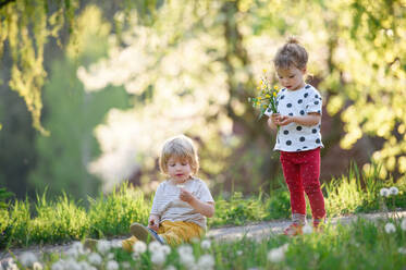 Vorderansicht von kleinen Kindern Junge und Mädchen spielen im Freien im Frühling Natur. - HPIF15971