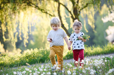 Frontansicht von kleinen Kindern Junge und Mädchen zu Fuß im Freien im Frühjahr Natur. - HPIF15972