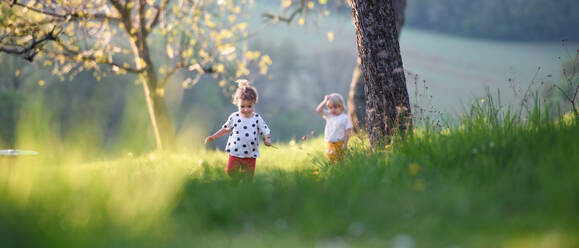 Vorderansicht von kleinen Kindern Junge und Mädchen spielen im Freien im Frühling Natur. - HPIF15973
