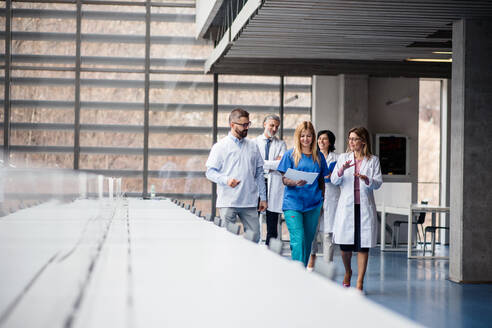 Eine Gruppe von Ärzten geht auf einem Korridor auf einer medizinischen Konferenz und unterhält sich. - HPIF16019
