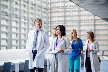 Group of doctors walking in corridor on medical conference, talking. - HPIF16021