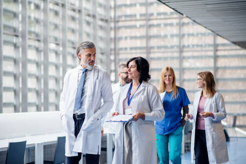 Eine Gruppe von Ärzten geht auf einem Korridor auf einer medizinischen Konferenz und unterhält sich. - HPIF16021