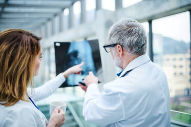 Rückansicht von Ärzten, die auf einer medizinischen Konferenz Röntgenbilder betrachten und Fragen diskutieren. - HPIF16099
