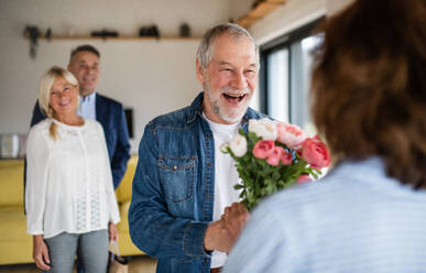 Eine Gruppe fröhlicher älterer Freunde beim Abendessen zu Hause, die sich begrüßen. - HPIF16250