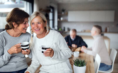 Front view portrait of senior women friends with coffee at home, talking. - HPIF16286