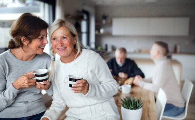 Frontansicht Porträt von älteren Frauen Freunde mit Kaffee zu Hause, im Gespräch. - HPIF16286