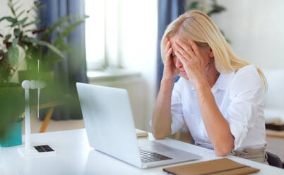 Frustrated woman engineer with laptop and head in hands indoors in home office, working. - HPIF16324