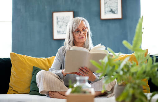Porträt einer älteren Frau, die zu Hause auf dem Sofa sitzt, sich entspannt und ein Buch liest. - HPIF16371