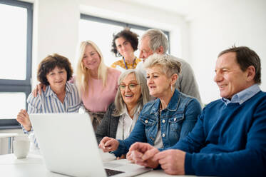 Eine Gruppe fröhlicher älterer Menschen, die einen Computer- und Technologiekurs besuchen. - HPIF16412