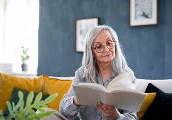 Porträt einer älteren Frau, die zu Hause auf dem Sofa sitzt, sich entspannt und ein Buch liest. - HPIF16422