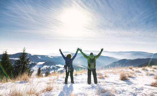 Rear view of cheerful senior couple hikers in snow-covered winter nature, stretching arms. - HPIF16501