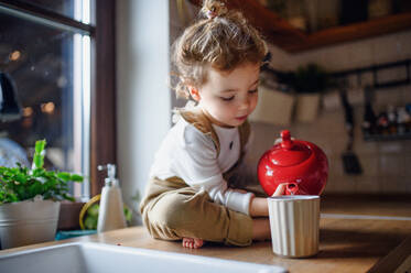 Cute small toddler girl sitting on kitchen counter indoors at home, pouring tea in cup. - HPIF16509