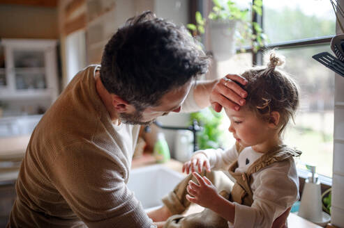 Father checking forehead of sick toddler daughter indoors in kitchen at home. - HPIF16511