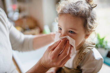 Unrecognizable father with small sick toddler daughter indoors at home, blowing nose. - HPIF16512