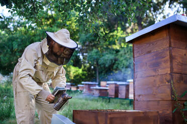 Porträt eines Imkers bei der Arbeit in einem Bienenstock, der einen Bienenräucherofen benutzt. - HPIF16662
