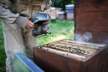 Unbekannter junger Imker bei der Arbeit im Bienenstock, mit Bienenräuchermaschine. - HPIF16663