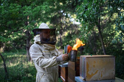 Seitenansicht eines Imkers bei der Arbeit in einem Bienenstock, der einen Bienenräucherofen benutzt. - HPIF16674