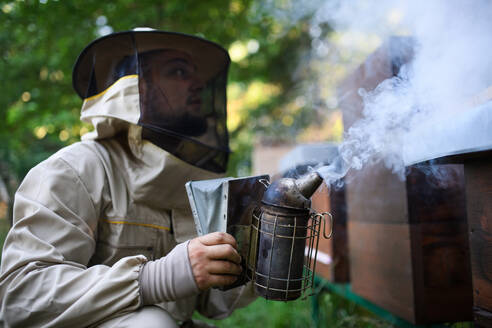 Porträt eines Imkers bei der Arbeit in einem Bienenstock, der einen Bienenräucherofen benutzt. - HPIF16677