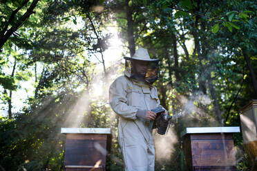 Porträt eines Imkers bei der Arbeit in einem Bienenstock, der einen Bienenräucherofen benutzt. - HPIF16682