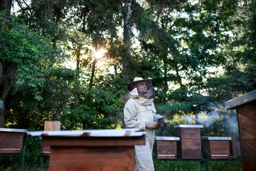 Porträt eines Imkers bei der Arbeit in einem Bienenstock, der einen Bienenräucherofen benutzt. - HPIF16701